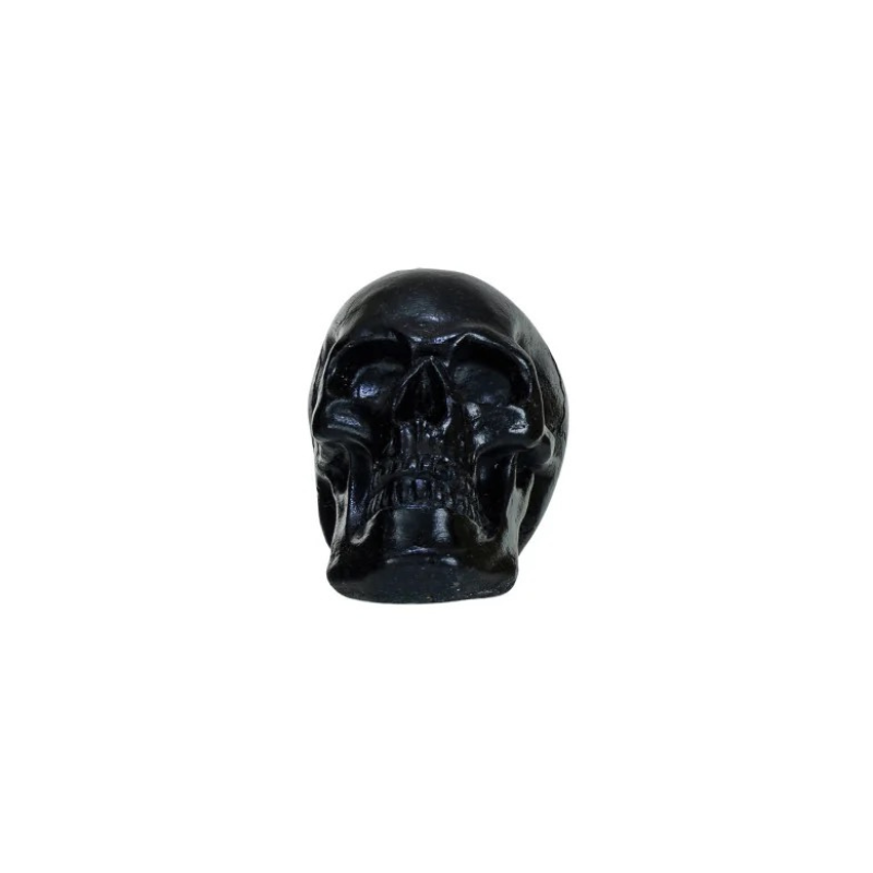 Black Resin Skull
