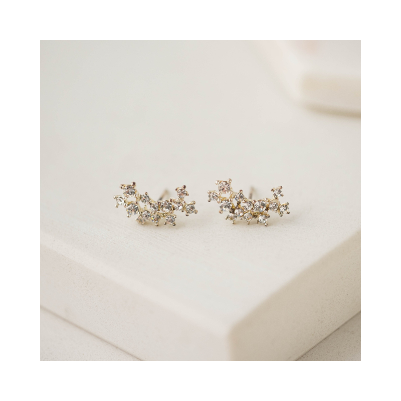 Stardust Climber Earrings in Clear by Lover's Tempo