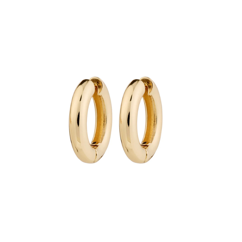 Marlo Earrings in Gold by Pilgrim