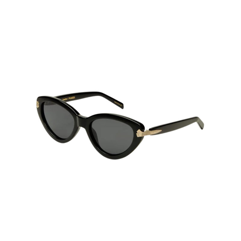 Coastline Polished Black Grey Sunglasses by Z Supply