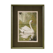 Swan on the Lake Print A
