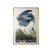 Blue Heron by John J. Audubon 37"x54"