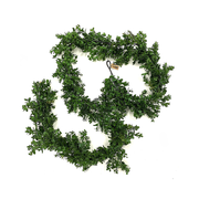 Boxwood Garland 9'