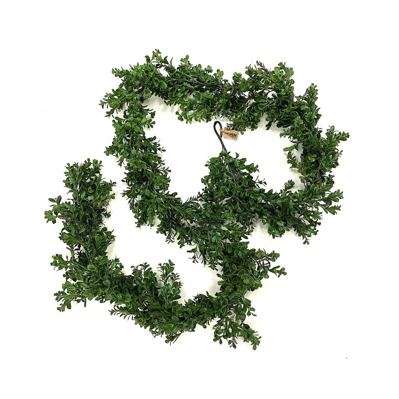 Boxwood Garland 9'