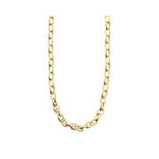 Charm Chain Necklace Gold by Pilgrim
