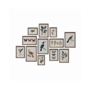 Botanical & Bird Wood Framed Prints
