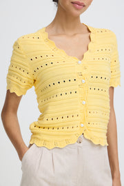 Naski Short Sleeve Cardigan in Flan by b.young
