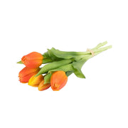 5 Stem Orange Tulip Bunch