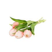 5 Stem Pink Tulip Bunch