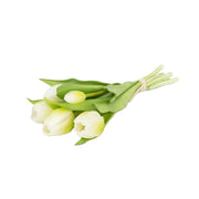5 Stem White Tulip Bunch