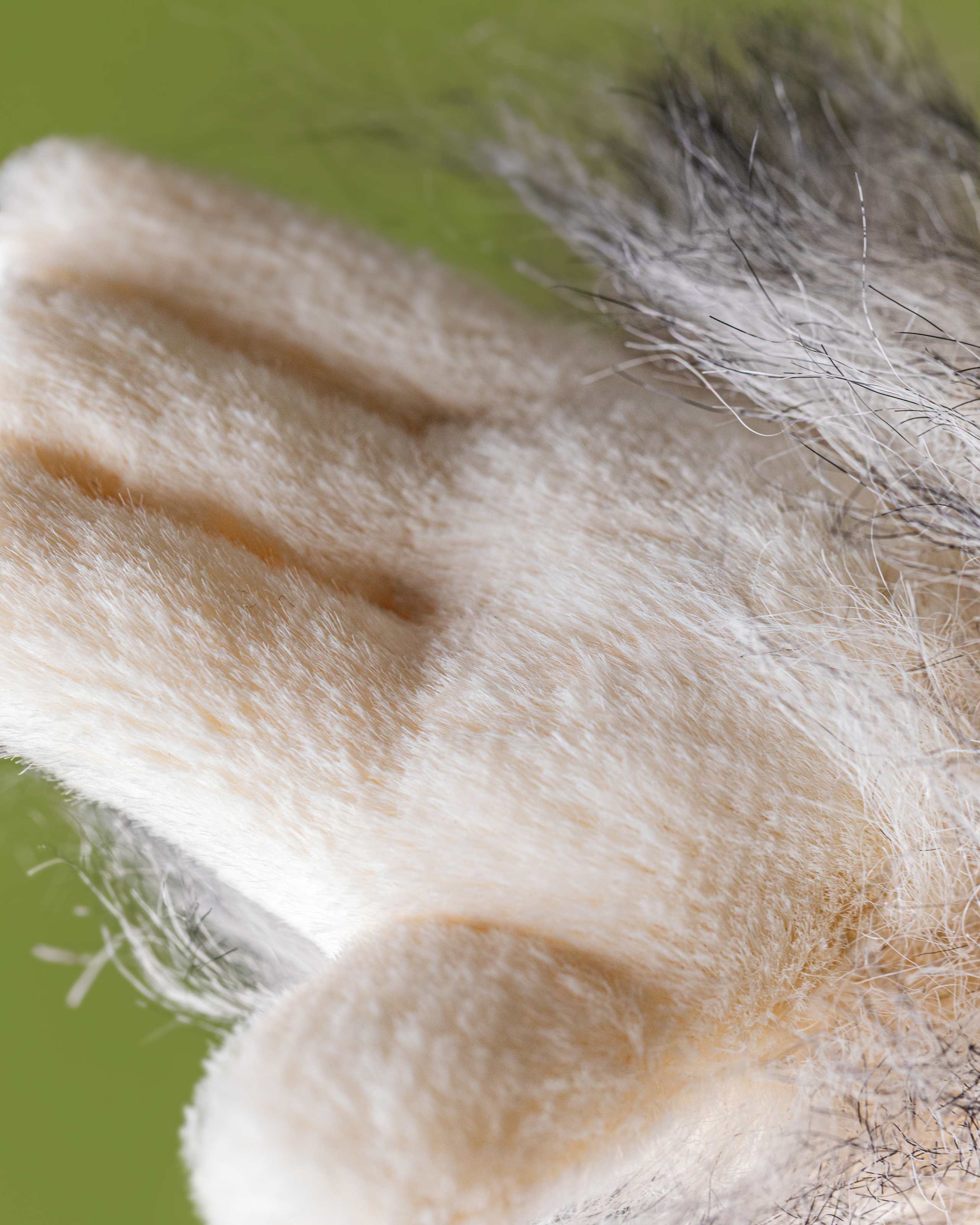 Jellycat Bretti Yeti