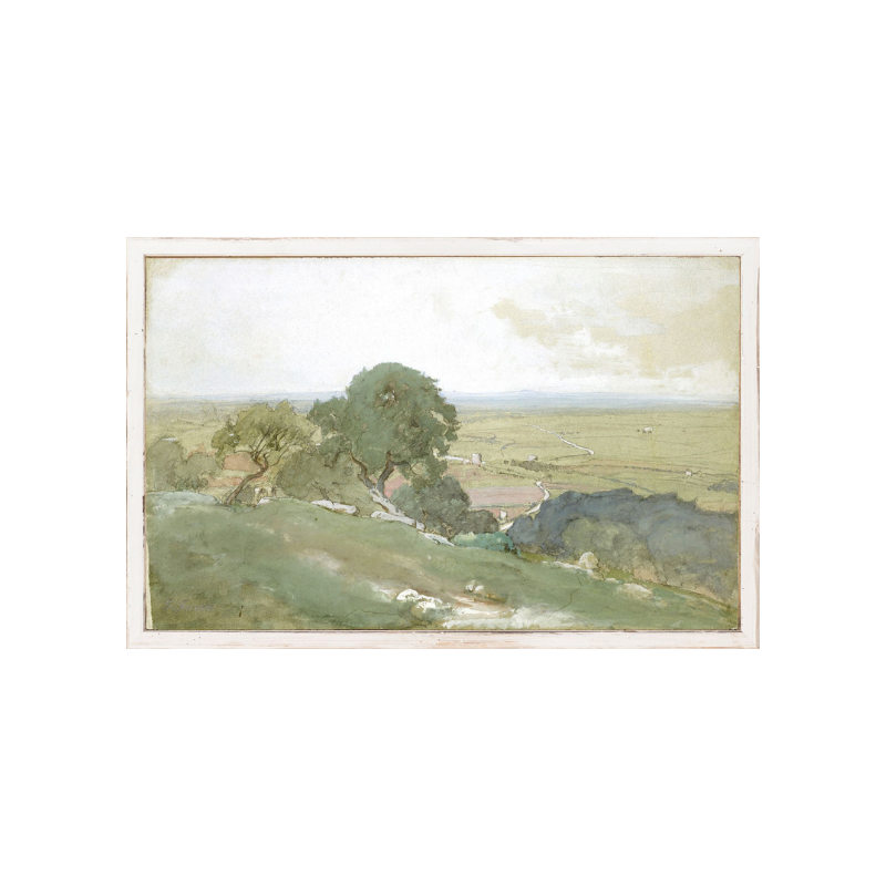 Olive Trees at Trivoli 15"x9"