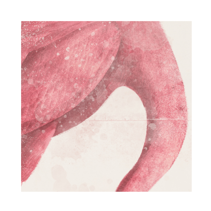 Roseate Aquatics I - 21"x25"