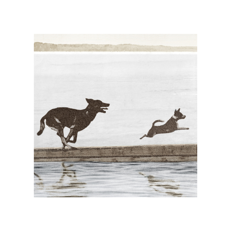 Dog Days At The Cottage - Mid 30"x38"