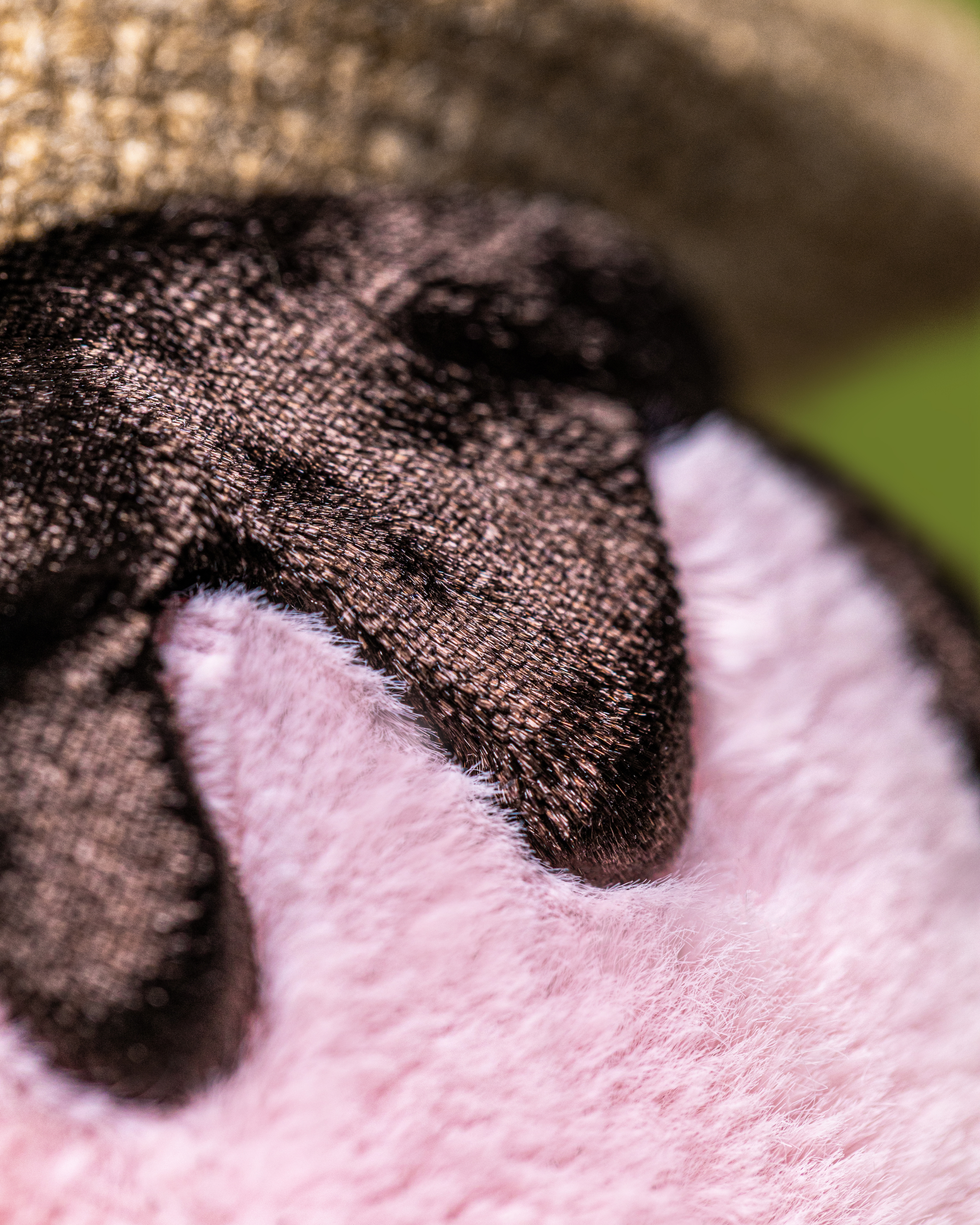 Jellycat Amuseables S'mores
