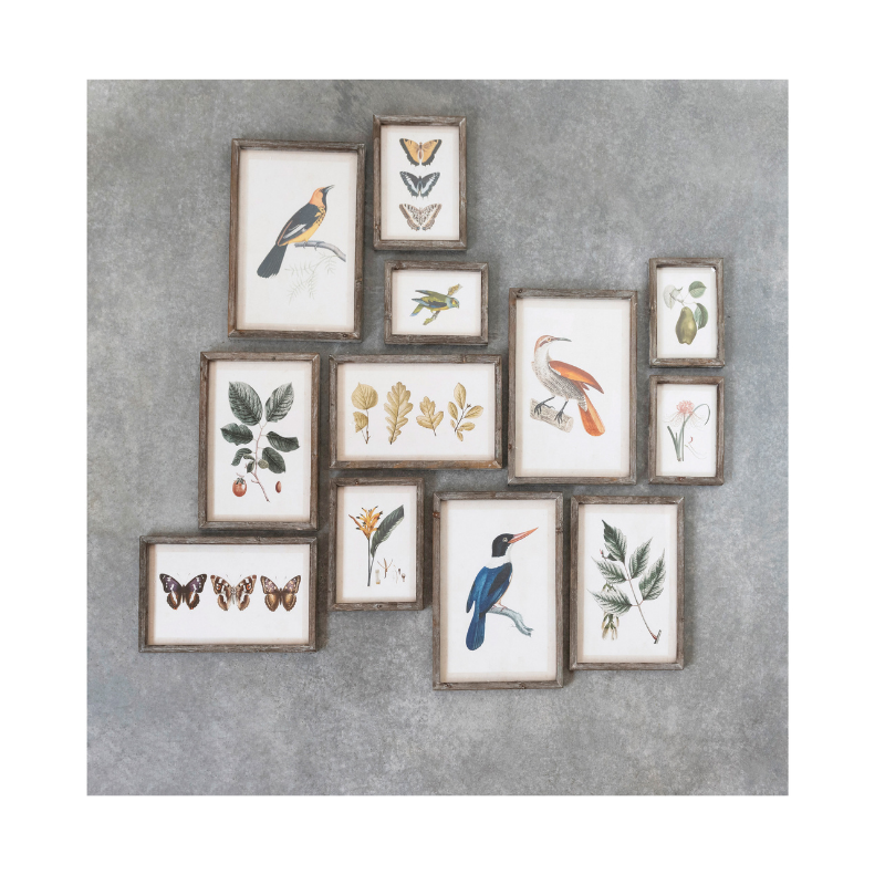 Botanical & Bird Wood Framed Prints
