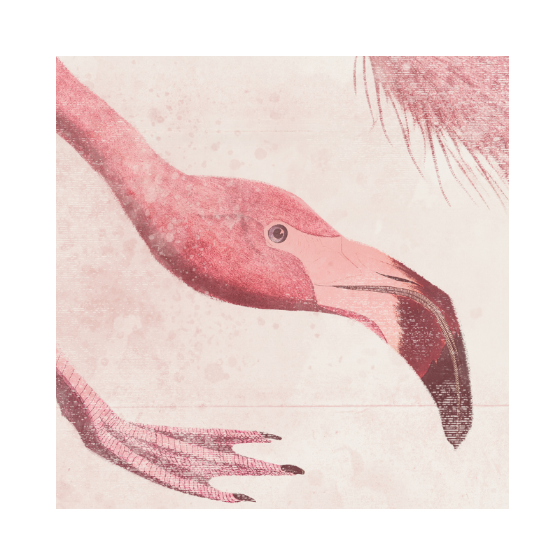 Roseate Aquatics I - 21"x25"