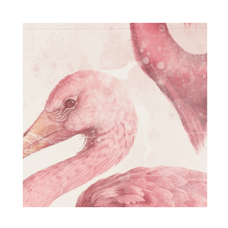 Roseate Aquatics I - 21"x25"