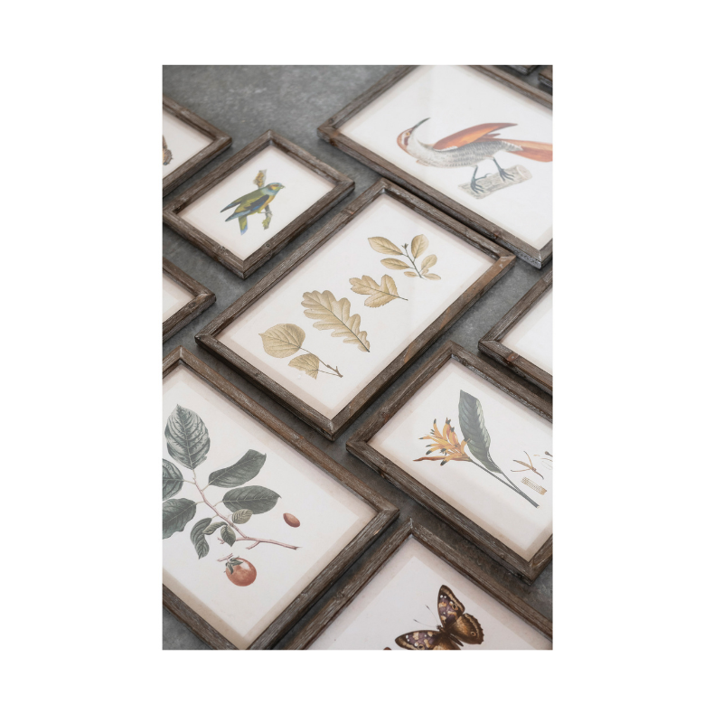 Botanical & Bird Wood Framed Prints