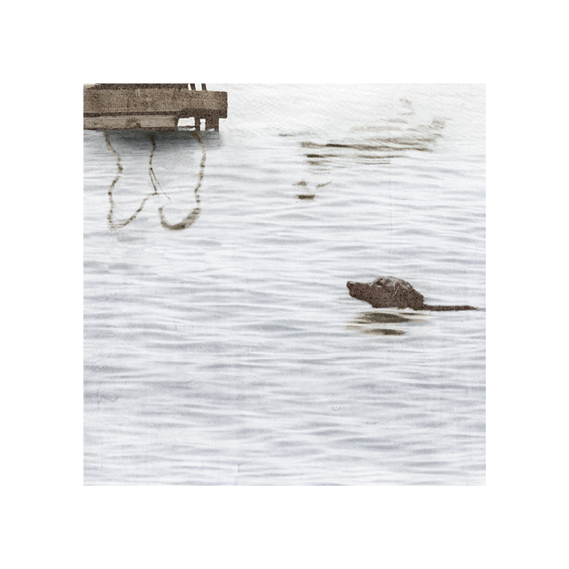 Dog Days At The Cottage - Mid 30"x38"