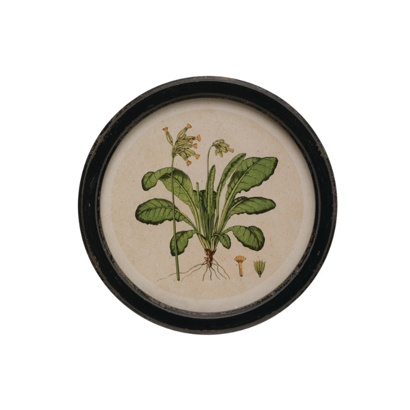 Round Framed Botanical Print D