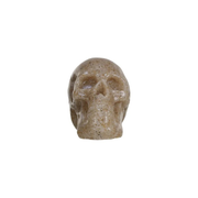 Cream Resin Skull