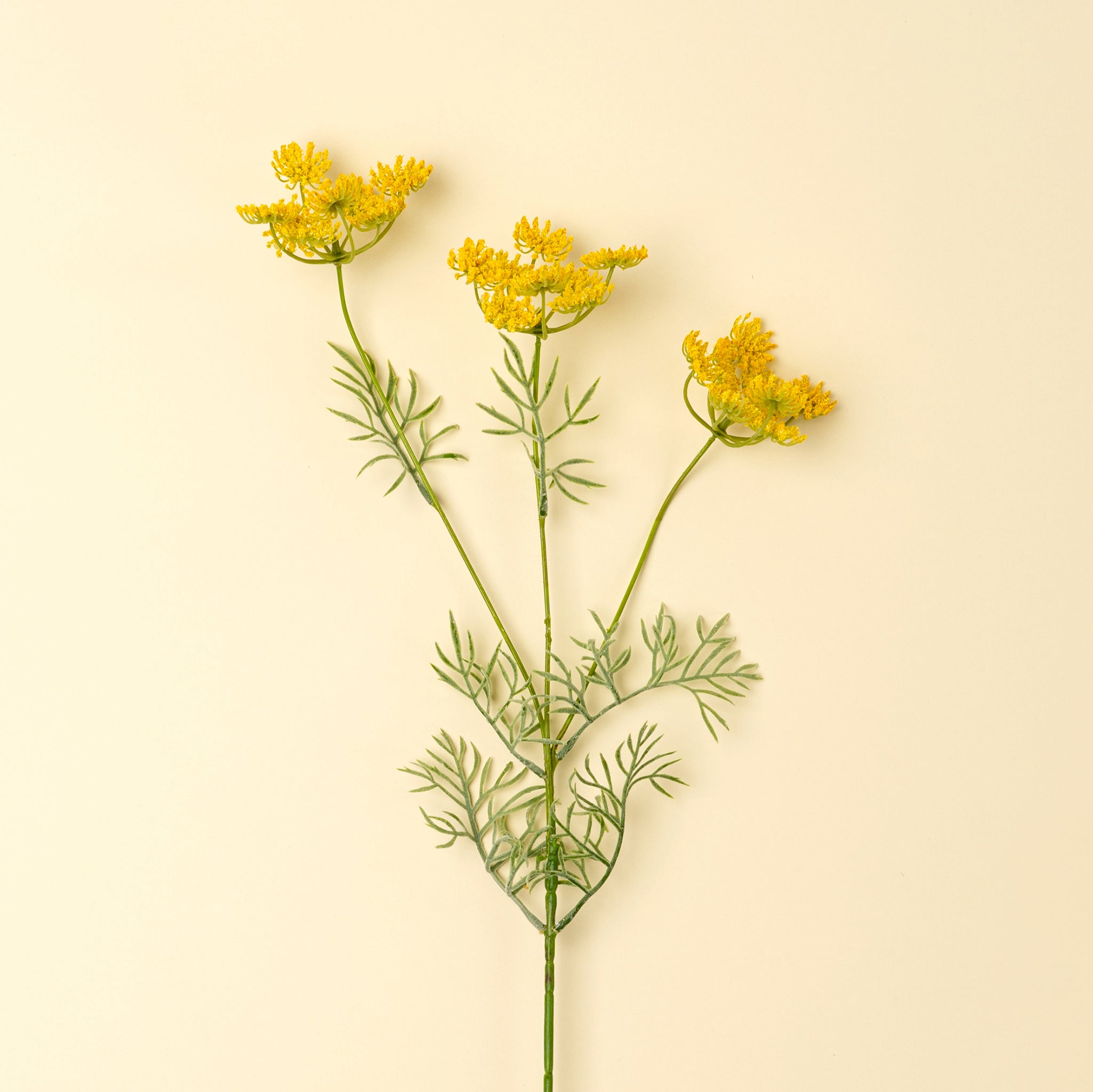 Queen Anne's Lace Spray in Yellow