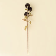 Pom Pom Floral Spray in Midnight