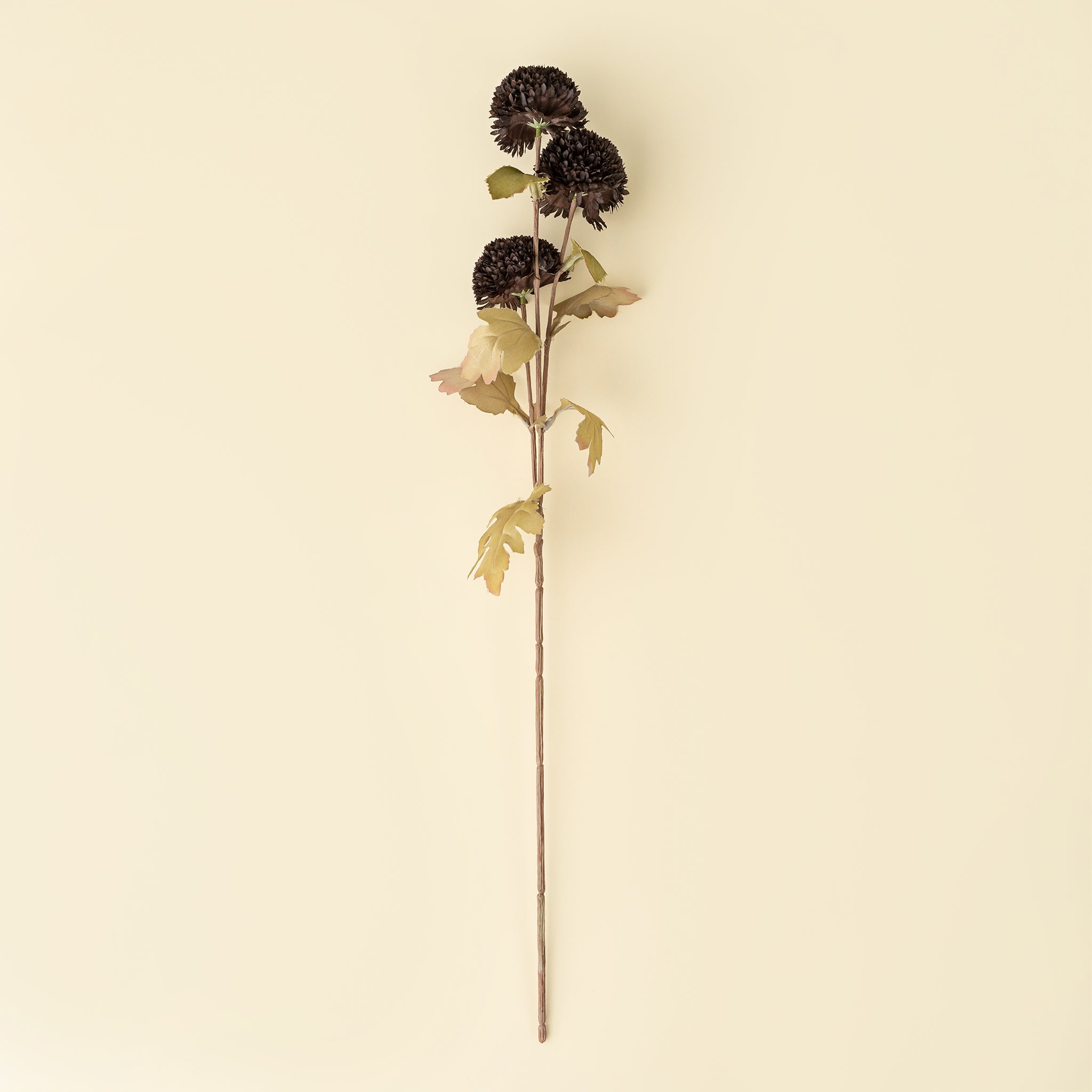 Pom Pom Floral Spray in Midnight