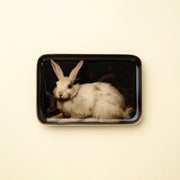 White Hare Enameled Tray Small