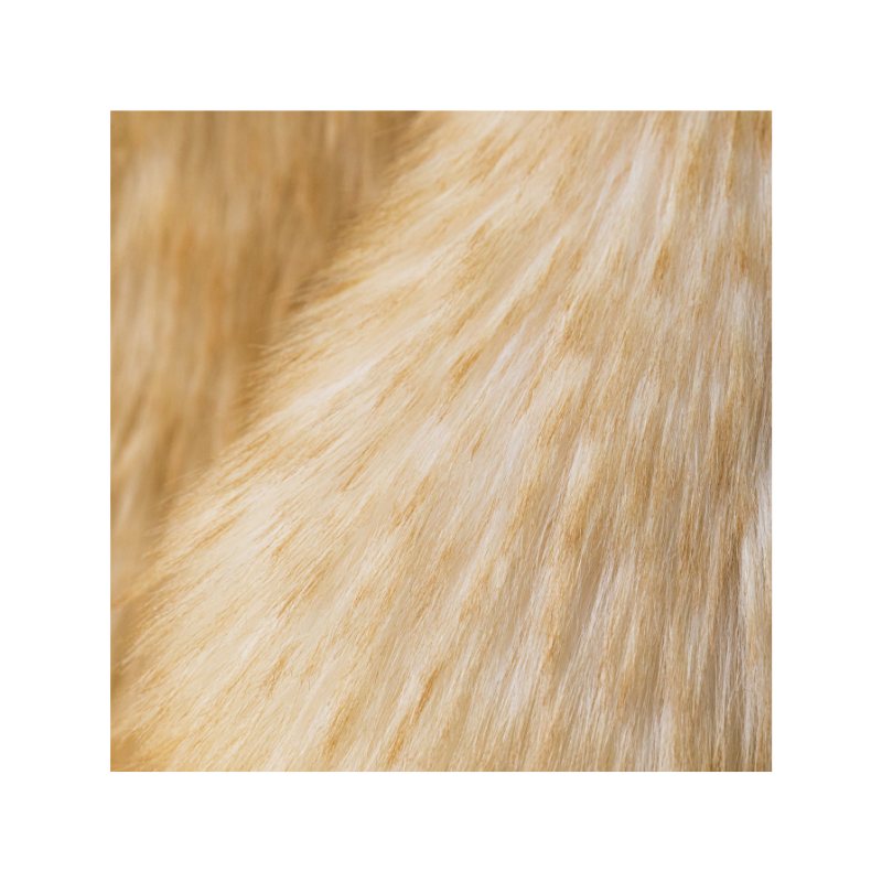 Jellycat Springlowe Luxe Bunny Big