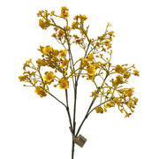Baby's Breathe Spray Mustard 27.5"