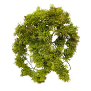 Green Moss Bush 9"
