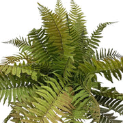 Lady Fern Bush Green Brown 30"
