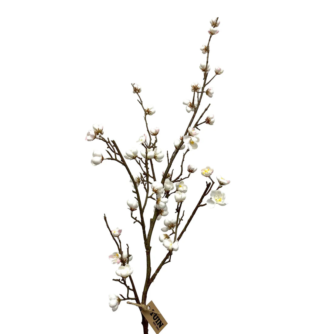 Quince Blossom Spray in Cream