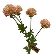 Mini Pom Pom Mum Spray in Pink