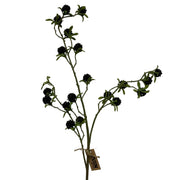 Blackberry Spray 31"