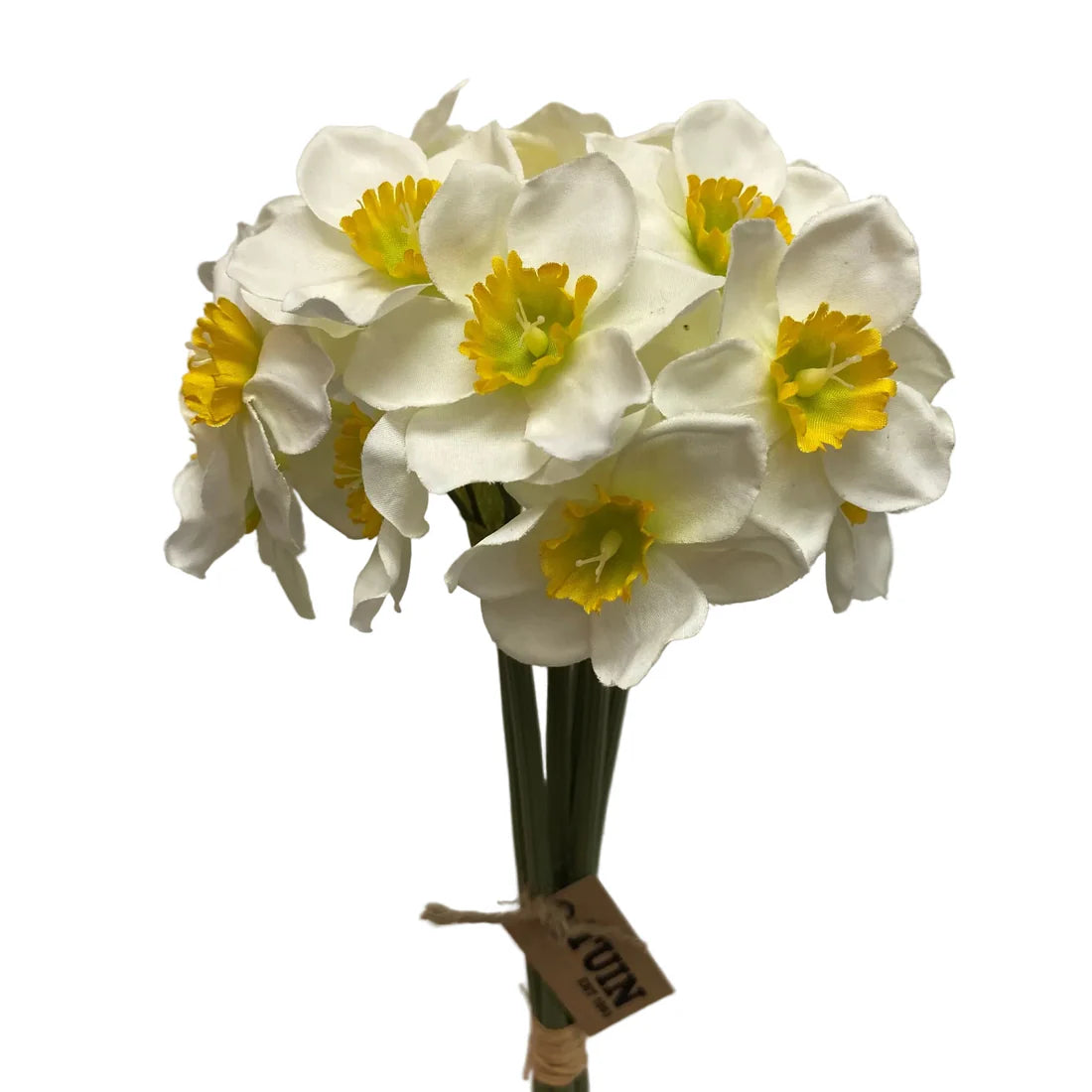 Narcissus Bundle 16"