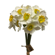Narcissus Bundle 16"