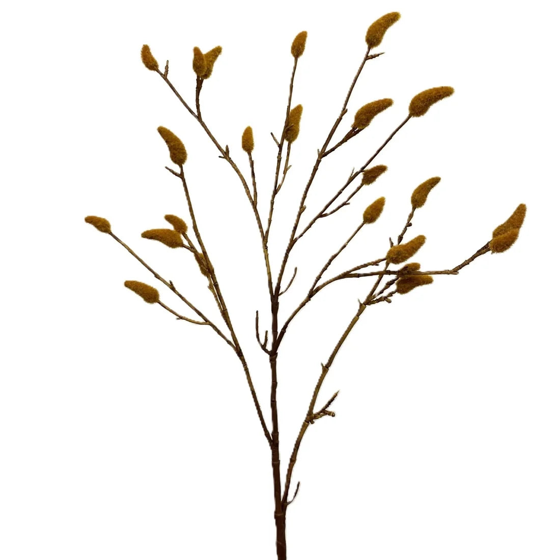 Pussy Willow Spray