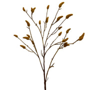 Pussy Willow Spray