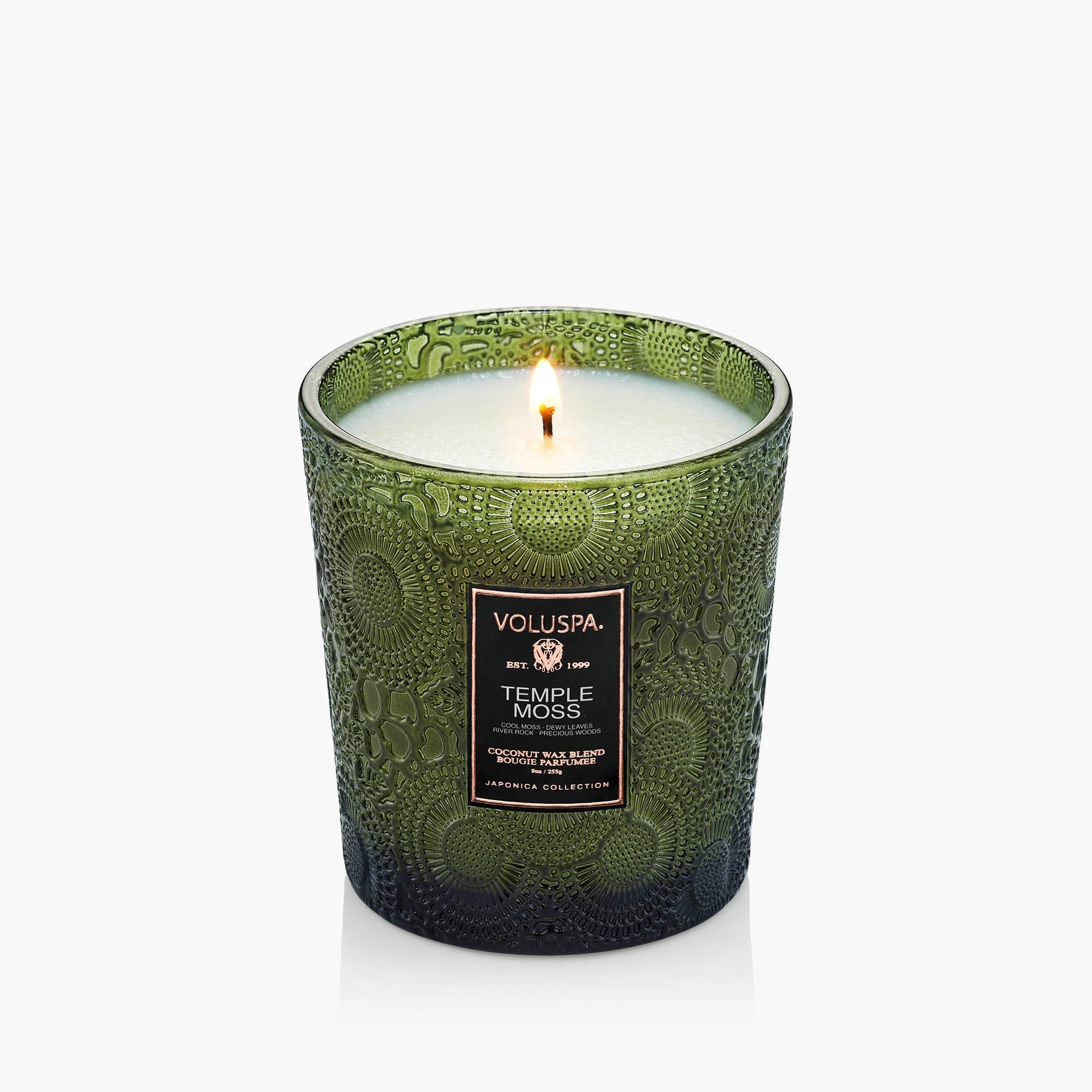 9oz Classic Candle in Temple Moss by Voluspa