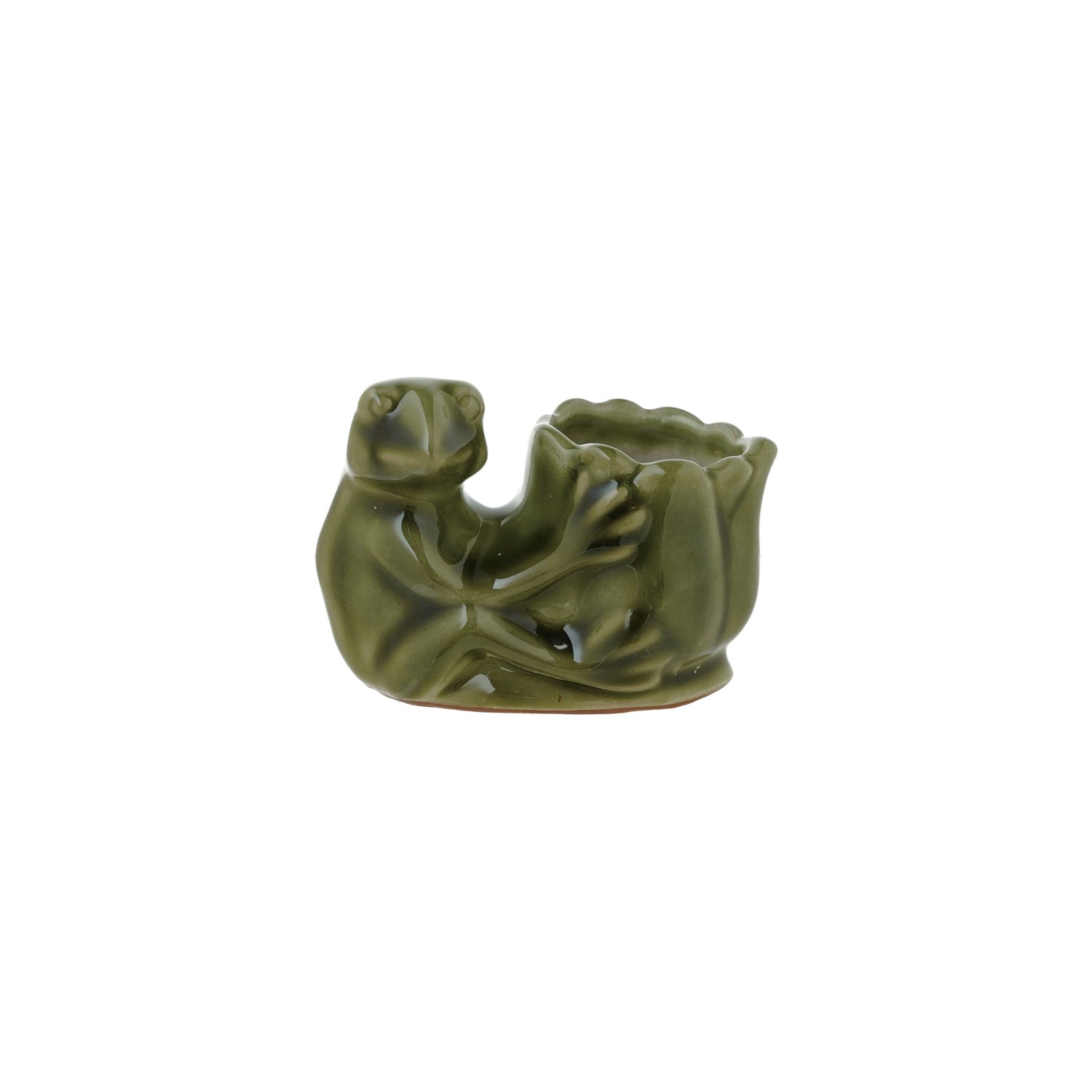 Frog With Flower Vase & Match Holder