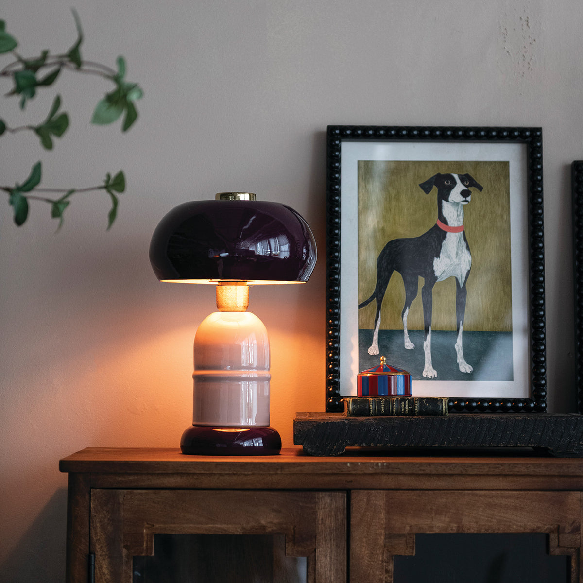 Black & White Dog, Glass Framed 11.75"x15.75"