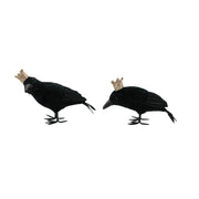 Crow With Crown