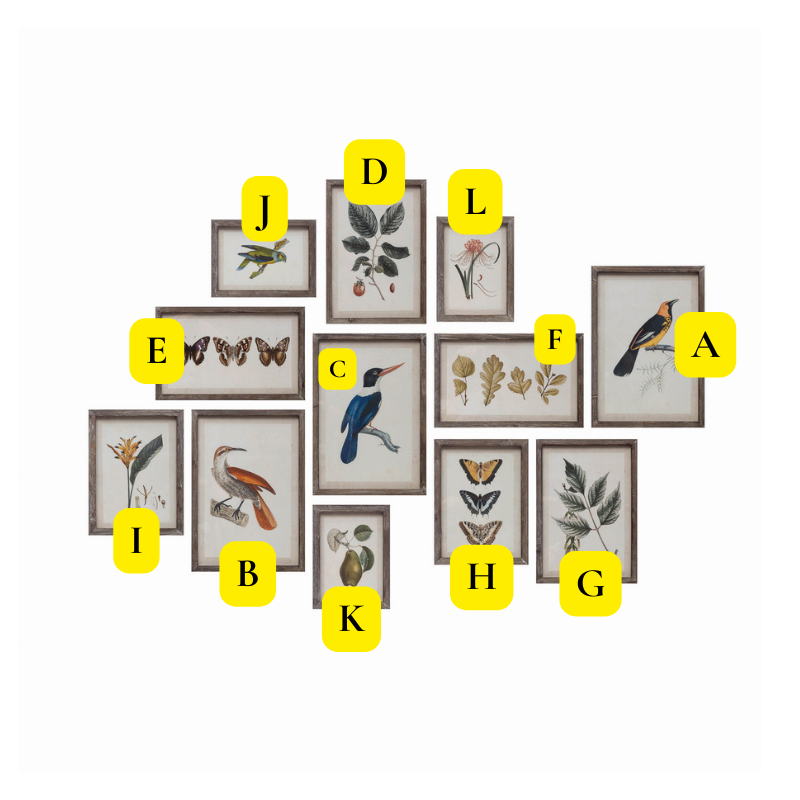 Botanical & Bird Wood Framed Prints